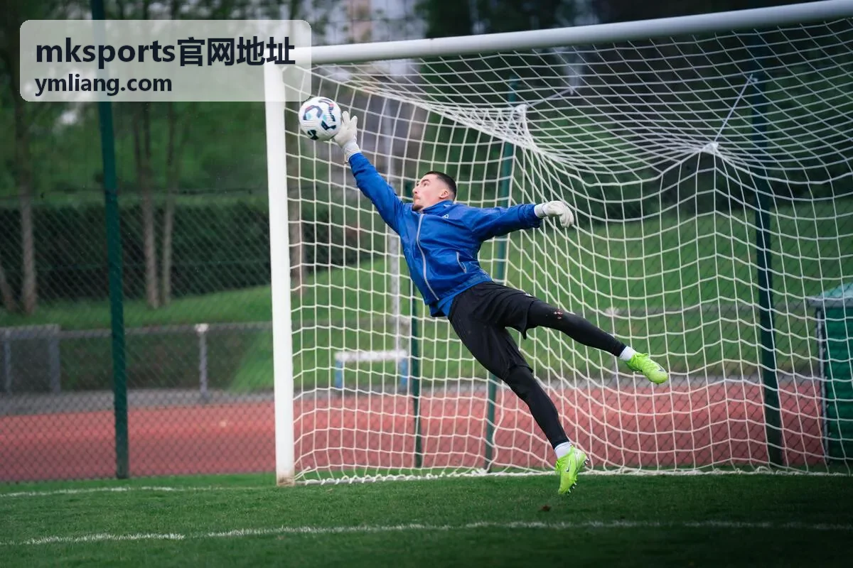 mksports官网地址 长期参与答疑与权益汇总示意
